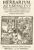 167. Melius Juhsz Pter orvosi fvszknyve. Kolozsvr, 1578