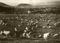 601. Talmcs, gazdag romn psztorfalu a Vrstoronyi-szoros bejratnl. Josef Fischer felvtele, 1930-as vek