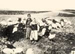 2. Pulykapsztor gyerekek (Szegedi tanyavilg, 1910-es vek)