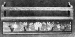 Kis fogas (Homordalms, v.Udvarhely m., 1832) Bp. Nprajzi Mzeum