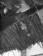 Az ereszbe dugott hsvti szentelt sonka csontja a villmcsaps s ltalban a hzat fenyeget bajok ellen vd (Mernye, Somogy m., 1954)