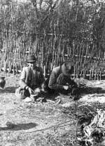 45. Frkszt cignyok, Szuhahuta (Ngrd megye). K. Csillry Klra felvtele, 1954 (Nprajzi Mzeum, Budapest)