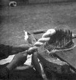 130. A legfinomabb szlaszsz fejbecsavarsa, Szamosszeg (Szatmr megye). Szolnoky Lajos felvtele, 1948 (Nprajzi Mzeum, Budapest)