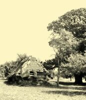 10. A cellar built of logs