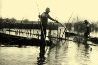 118. Placing fish-traps in front of a large fish-net