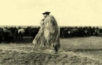 126. Shepherd leaning on his crook