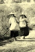 138. Women carrying sacks