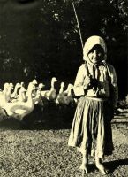 278. Goose-girl