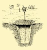 Fig. 103. Cross-section of a wolf pit.