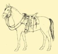 Fig. 129. Horse of a horseherd with horse gear.