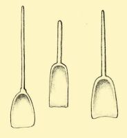 Fig. 81. Winnowing spades.