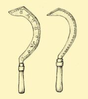 Fig. 84. Old types of billhooks for cutting maize.