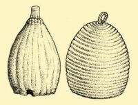 Fig. 98. Forms of beehives.