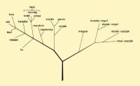 Abb. 1. Die finnisch-ugrischen Vlker und ihre Beziehungen zueinander