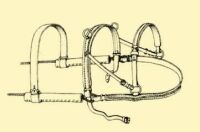 Abb. 130. Pferdegeschirr.