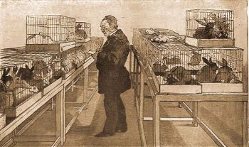 Pasteur ksrleti llatai kztt
