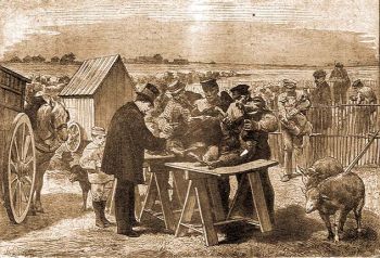Pasteur juhokat ojt Pouilly-le-Fortban, 1881. mj. 31.