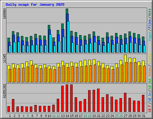 Daily usage for January 2025