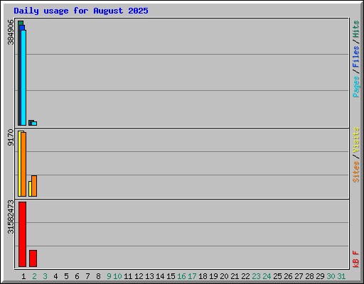 Daily usage for August 2025