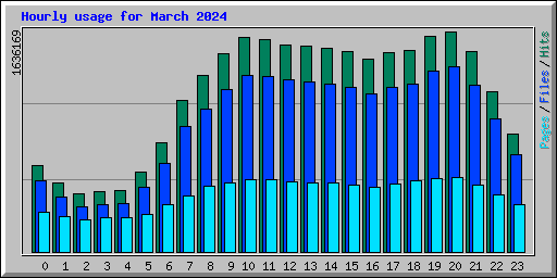 Hourly usage for March 2024