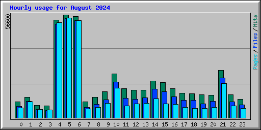 Hourly usage for August 2024