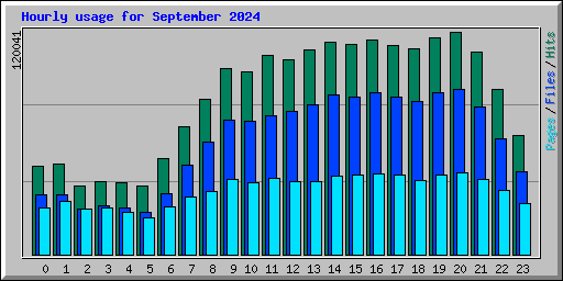 Hourly usage for September 2024