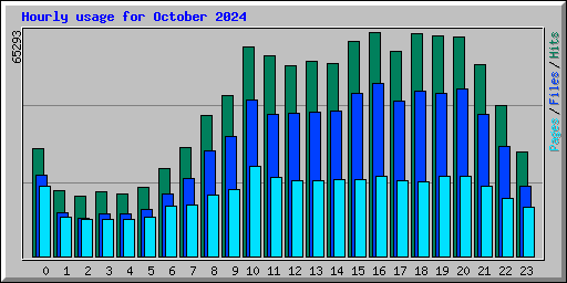 Hourly usage for October 2024