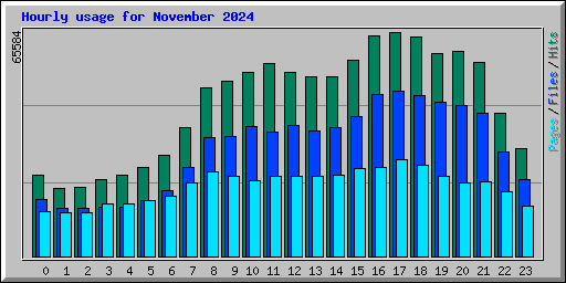 Hourly usage for November 2024