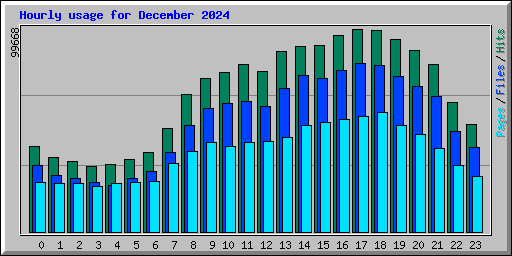 Hourly usage for December 2024