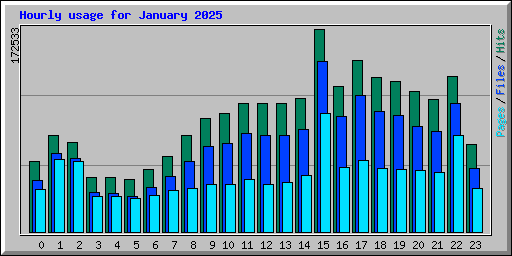 Hourly usage for January 2025