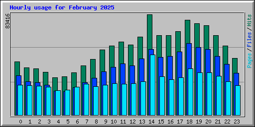 Hourly usage for February 2025