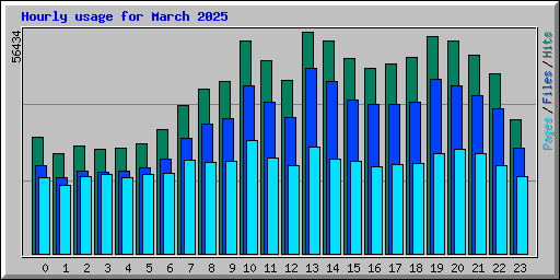 Hourly usage for March 2025