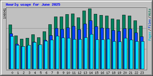Hourly usage for June 2025