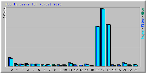 Hourly usage for August 2025