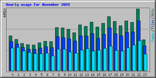 Hourly usage for November 2025